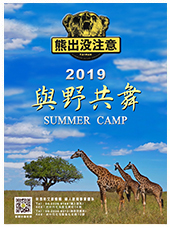 2020暑假夏令營-寒假冬令營-2020暑期夏令營營隊活動